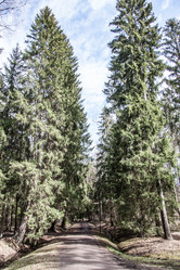 Similar image 21049153