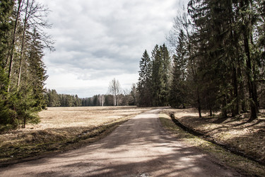 Similar image 21049154