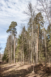 Similar image 21049155