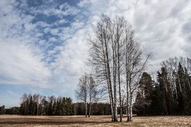 Similar image 21049156