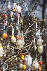 Similar image 21049080