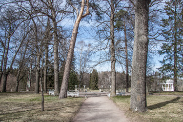 Similar image 21021868