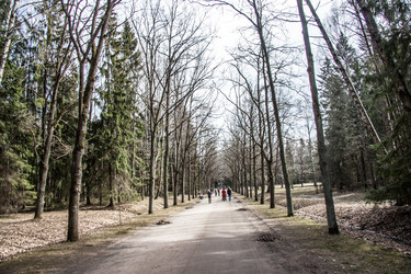 Similar image 21041237