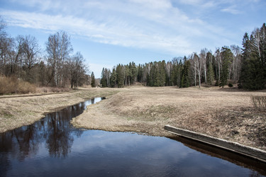 Similar image 21041239