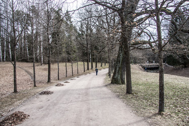 Similar image 21041240