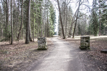 Similar image 21041241