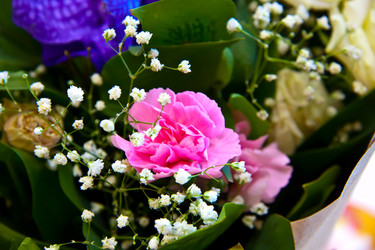 Similar image 21049081