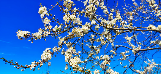 Similar image 21049083