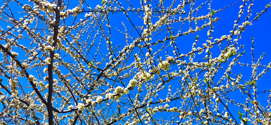 Similar image 21049085