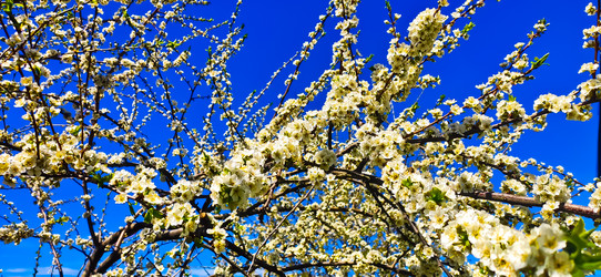 Similar image 21049086