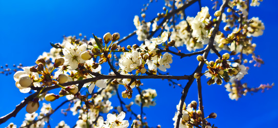 Similar image 21049087