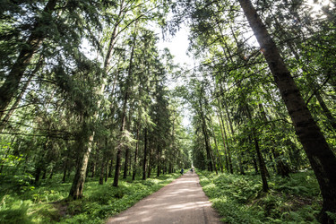 Similar image 21021889