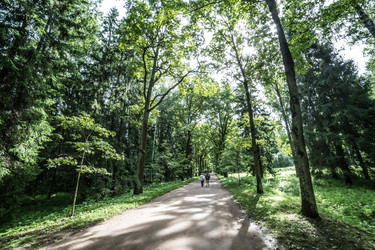 Similar image 21021891