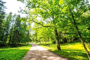 Similar image 21021896