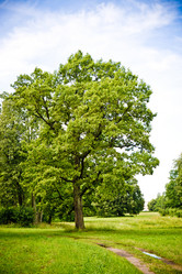 Similar image 21021897