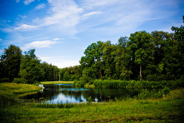 Similar image 21021898