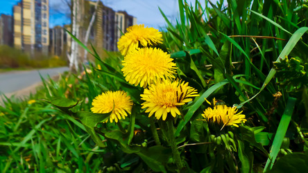 Similar image 21049088