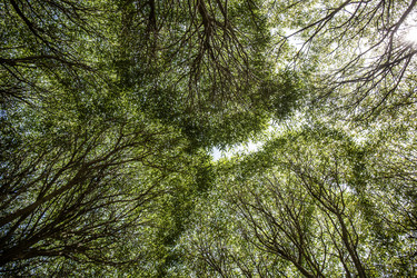 Similar image 21049090