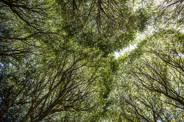 Similar image 21049091