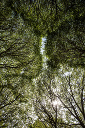 Similar image 21049092