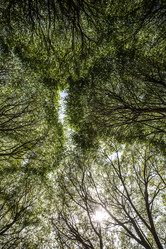 Similar image 21049093