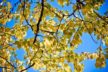 Similar image 21049098