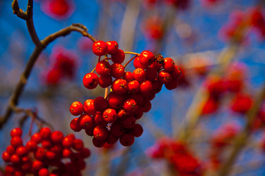 Similar image 21041262