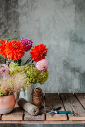 Similar image 21046169