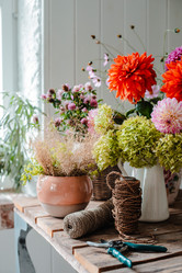 Similar image 21046171