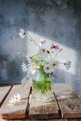 Similar image 21046173