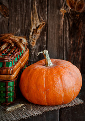 Similar image 21031541