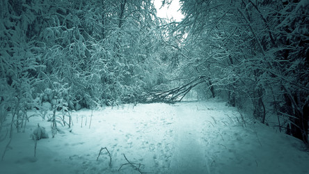 Similar image 21041270