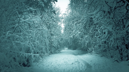 Similar image 21041272