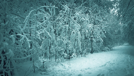 Similar image 21041273