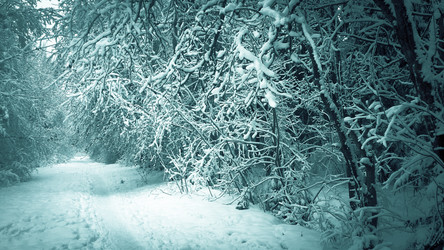 Similar image 21041274