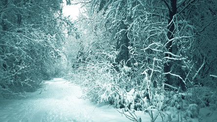 Similar image 21041277