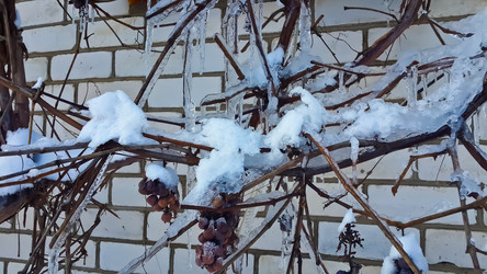 Similar image 21041278