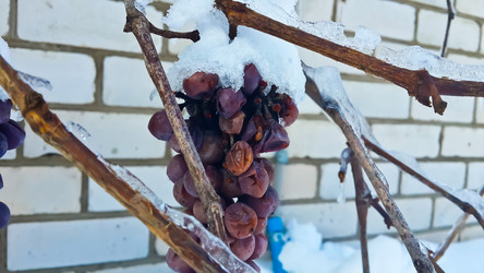 Similar image 21041279