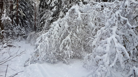 Similar image 21041280