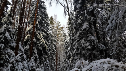 Similar image 21041283