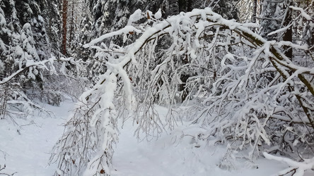 Similar image 21041284