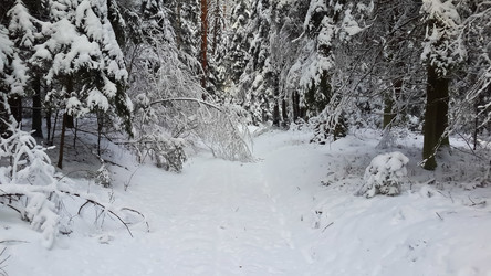 Similar image 21041285