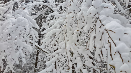 Similar image 21041288