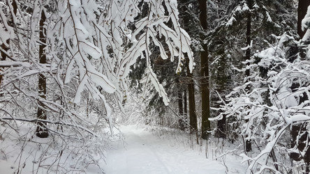 Similar image 21041291