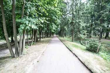 Similar image 21040482