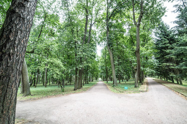 Similar image 21040483