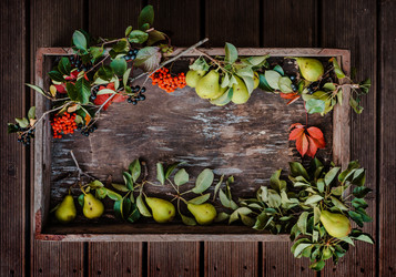 Similar image 21046196