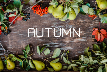 Similar image 21046197