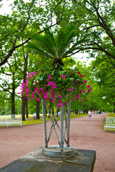 Similar image 21041296