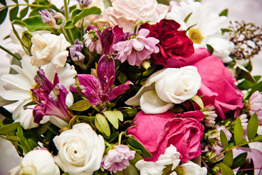 Similar image 21041299